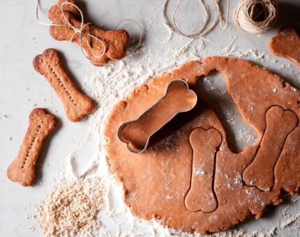 Galletas para perros